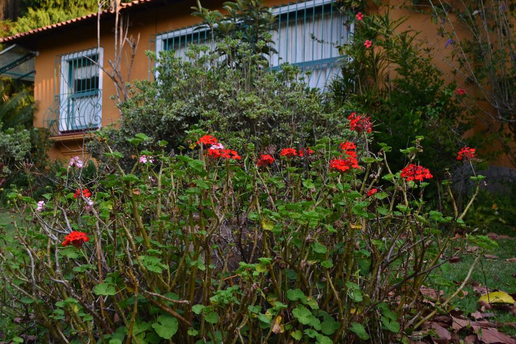 Hotel Pousada Amoedo Petrópolis Zewnętrze zdjęcie