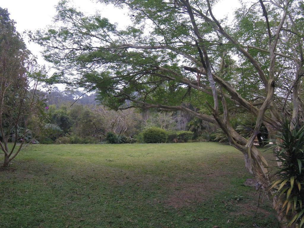 Hotel Pousada Amoedo Petrópolis Zewnętrze zdjęcie