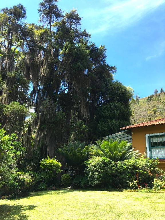 Hotel Pousada Amoedo Petrópolis Zewnętrze zdjęcie